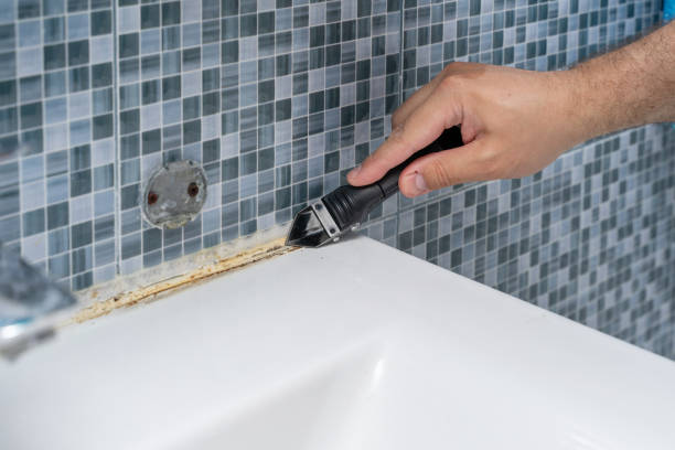 Best DIY Mold Remediation Support Services in Lexington, IL