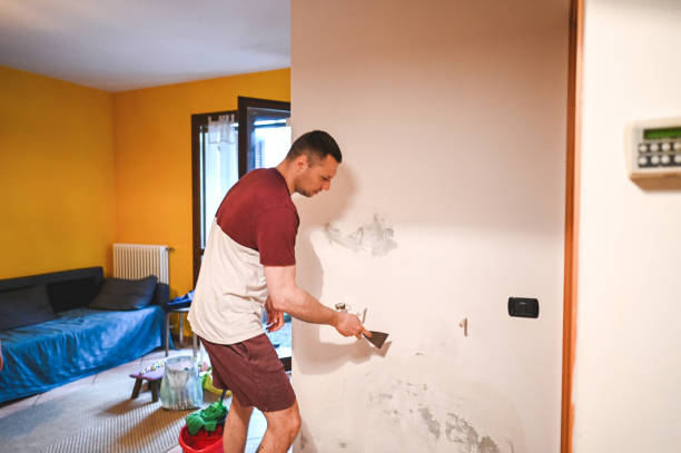 Best Kitchen Mold Remediation in Lexington, IL